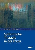 bokomslag Systemische Therapie in der Praxis