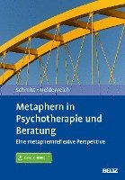 bokomslag Metaphern in Psychotherapie und Beratung