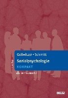 bokomslag Sozialpsychologie kompakt
