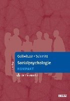 Sozialpsychologie kompakt 1