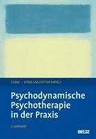 bokomslag Psychodynamische Psychotherapie in der Praxis