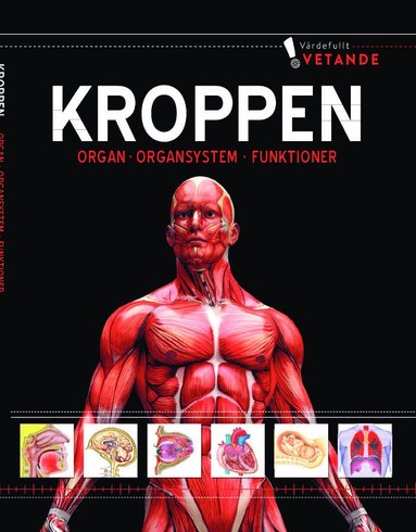 bokomslag Kroppen : organ, organsystem, funktioner