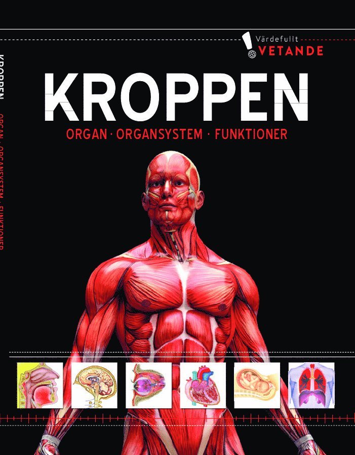 Kroppen : organ, organsystem, funktioner 1