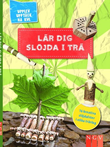 bokomslag Lär dig slöjda i trä