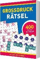 bokomslag Großdruck-Rätsel