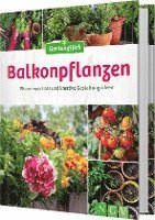 bokomslag Balkonpflanzen