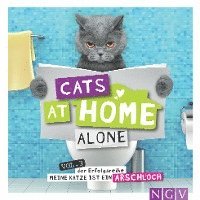 bokomslag Cats at home alone - Das Geschenkbuch für Katzenliebhaber