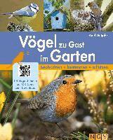 Axel Gutjahr - Vögel zu Gast im Garten - Heimische Vögel beobachten, bestimmen, schützen., Häftad