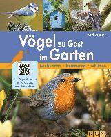 bokomslag Vögel zu Gast im Garten - Beobachten, bestimmen, schützen.