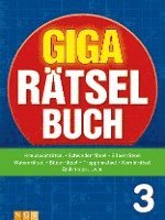 bokomslag Giga-Rätselbuch 3