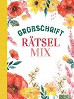 bokomslag Großschrift Rätselmix