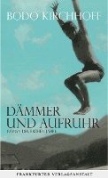 bokomslag Dämmer und Aufruhr