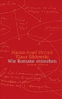 bokomslag Wie Romane entstehen