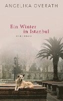 Angelika Overath - Ein Winter in Istanbul, Inbunden