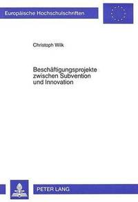 bokomslag Beschaeftigungsprojekte Zwischen Subvention Und Innovation