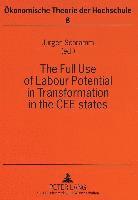 Jurgen Schramm, Jürgen Schramm - Full Use of Labour Potential in Transformation in the CEE States, Häftad