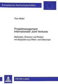 bokomslag Projektmanagement Internationaler Joint Ventures