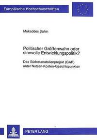 bokomslag Politischer Groeßenwahn Oder Sinnvolle Entwicklungspolitik?