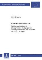 bokomslag In Den Prozeß Verwickelt