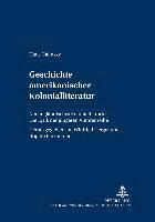 bokomslag Geschichte Amerikanischer Kolonialliteratur