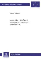 bokomslag Jesus Our High Priest