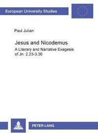 bokomslag Jesus and Nicodemus