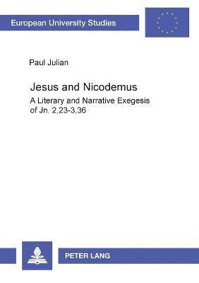 Paul Julian - Jesus and Nicodemus, Häftad