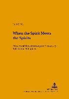 Julie C. Ma, Julie Ma, Jan A. B. Jongeneel - When the Spirit Meets the Spirits, Häftad