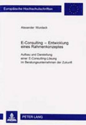 E-Consulting - Entwicklung Eines Rahmenkonzeptes 1