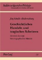 Jörg Schulte-Altedorneburg, Michael Von Albrecht, Christiane Von Albrecht - Geschichtliches Handeln Und Tragisches Scheitern, Häftad