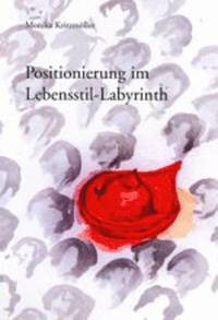 bokomslag Positionierung Im Lebensstil-Labyrinth