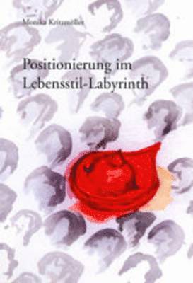 bokomslag Positionierung Im Lebensstil-Labyrinth