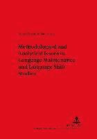 bokomslag Methodological and Analytical Issues in Language Maintenance and Language Shift Studies