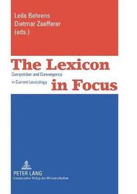 bokomslag The Lexicon in Focus