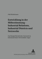 bokomslag Entwicklung in der Mitbestimmung  Industrial Relations, Industrial Districts und Netzwerke