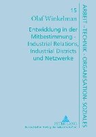 Entwicklung in der Mitbestimmung  Industrial Relations, Industrial Districts und Netzwerke 1