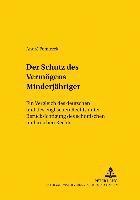 Der Schutz Des Vermoegens Minderjaehriger