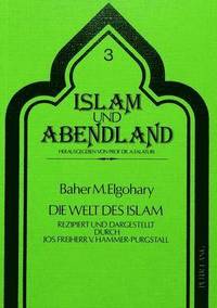 bokomslag Die Welt Des Islam