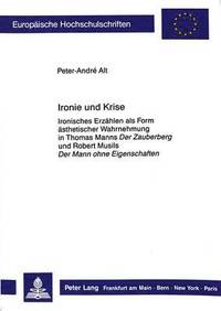 bokomslag Ironie Und Krise