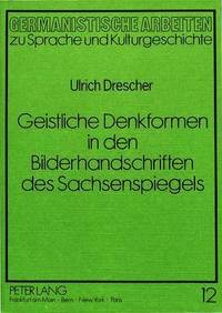 bokomslag Geistliche Denkformen in Den Bilderhandschriften Des Sachsenspiegels