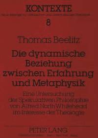 bokomslag Die Dynamische Beziehung Zwischen Erfahrung Und Metaphysik