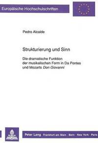 bokomslag Strukturierung und Sinn