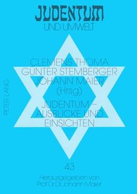 bokomslag Judentum - Ausblicke Und Einsichten