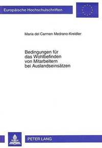 bokomslag Bedingungen Fuer Das Wohlbefinden Von Mitarbeitern Bei Auslandseinsaetzen