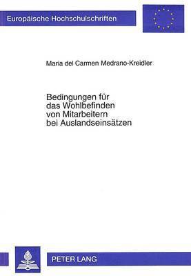 Bedingungen Fuer Das Wohlbefinden Von Mitarbeitern Bei Auslandseinsaetzen 1