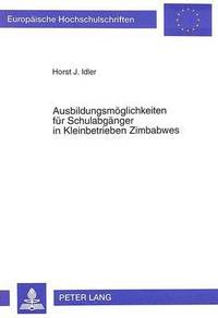 bokomslag Ausbildungsmoeglichkeiten Fuer Schulabgaenger in Kleinbetrieben Zimbabwes