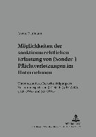 bokomslag Moeglichkeiten Der Sanktionsrechtlichen Erfassung Von (Sonder-)Pflichtverletzungen Im Unternehmen