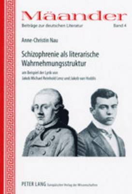 Anne-Christin Nau, Manfred Durzak - Schizophrenie ALS Literarische Wahrnehmungsstruktur Am Beispiel Der Lyrik Von Jakob Michael Reinhold Lenz Und Jakob Van Hoddis, Häftad