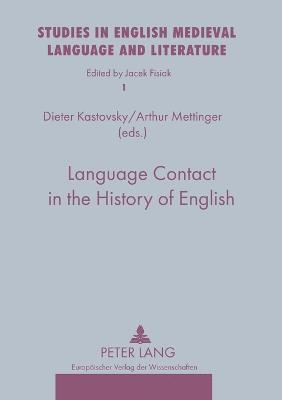 Dieter Kastovsky, Arthur Mettinger - Language Contact in the History of English, Häftad