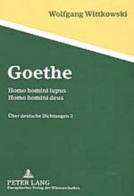 bokomslag Goethe